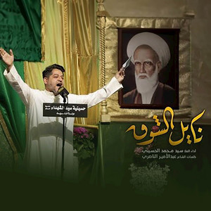 Sayed Mohamed Al-Hosaini - نايل الشوق