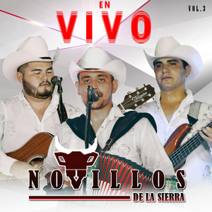Soy Beltran - En Vivo by Novillos de la Sierra Album Cover