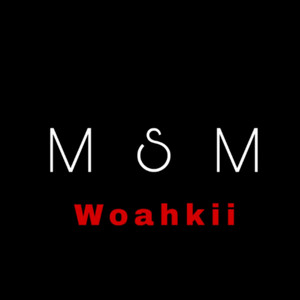 MSM