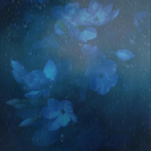 dear cam, by .lostsoul.