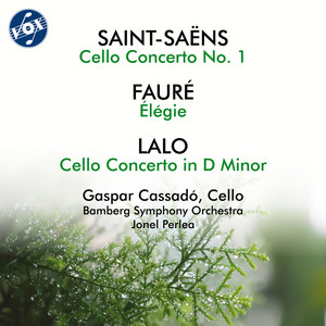Cello Concerto in D Minor: I. Prélude. Lento - Allegro maestoso