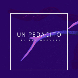 Un Pedacito (feat. GOL2BOB) by El Rey Guevara, GOL2BOB