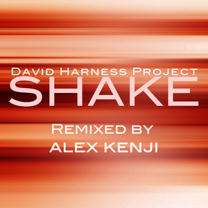 David Harness Project cover