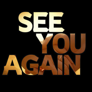 See You Again by The Sean moon Band
