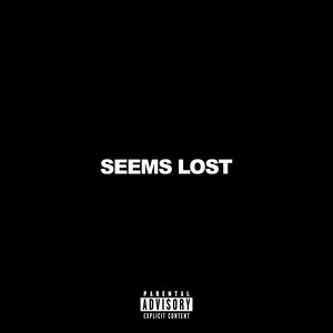 SEEMS LOST by MW