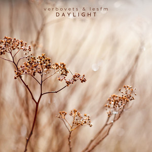 Daylight