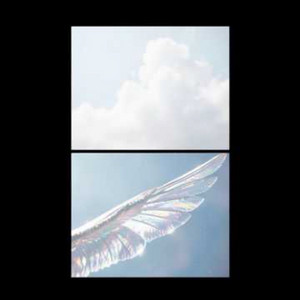 Kibou no Wing by peabodyv