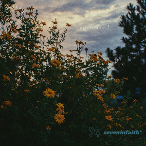 colossians 3. by dxvl