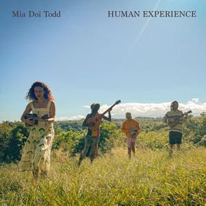 album cover: Human Experience