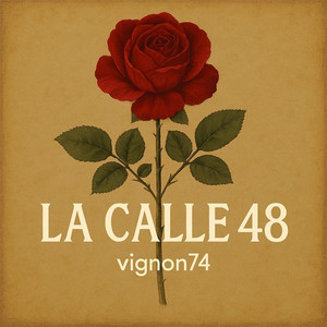 la calle 48 by Vignon74