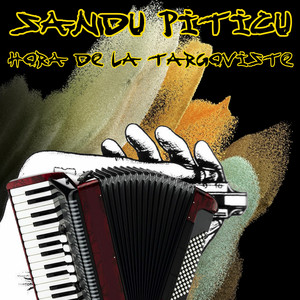 SANDU PITICU - Petrecere La Acordeon
