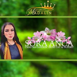 Madalin Covaciu - Cand Ma Gandesc Isuse