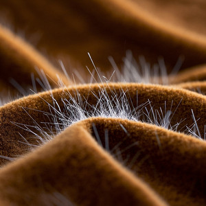 DJ Vortex - Velvet Static