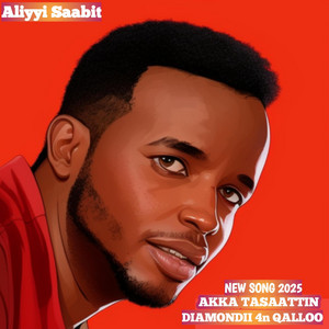 Aliyi Sabit Official - Yaa kaamayoo intalaa