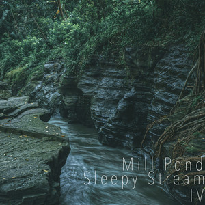 Sleepy Stream IV by Mill Pond