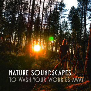 Nature Soundscapes to Wash Your Worries Away album