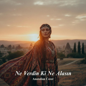 Ne Verdin Ki Ne Alasın