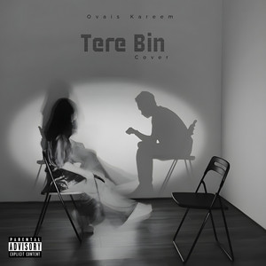 Ovais Kareem - Tere Bin