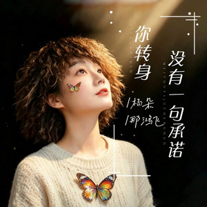 你转身没有一句承诺(深情对唱版) by 杨朵, 那鸿飞