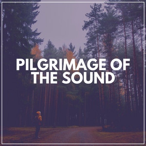 Pilgrimage of the Sound album