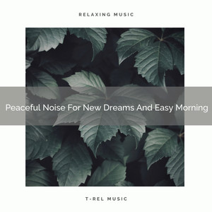 Peaceful Noise For New Dreams And Easy Morning album