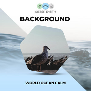 Background World Ocean Calm album