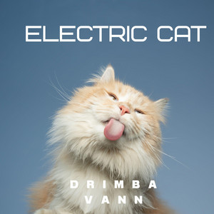 Electric cat by Drimba Vann
