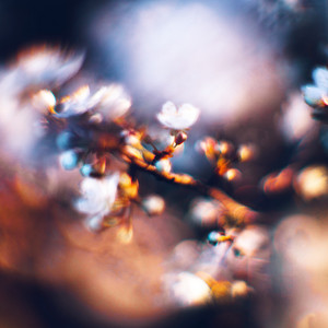 Awaken by Cold Water