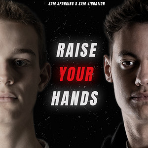 Raise Your Hands - Radio Edit