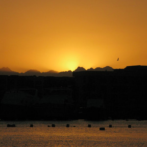 The Midnight Sun by AVNU, AR KA