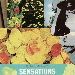 Incredible Man - song and lyrics by sensations, todd roper | Spotify
