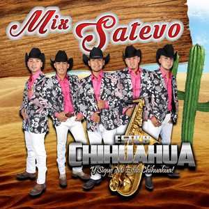 Estilo Chihuahua - Mix Satevo