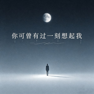 你可曾有一刻想起我 (伤感版) by 雨霖枫