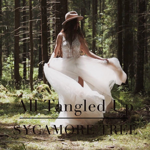 All Tangled Up by Sycamore Tree 