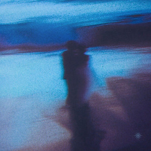 Blooming Shadows by The Visual Mood