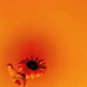 Astral Void artist photo