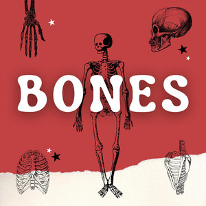 Bones