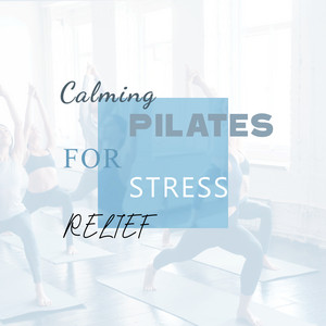 Pilates Workout Academy poster