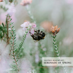 Serenade of spring