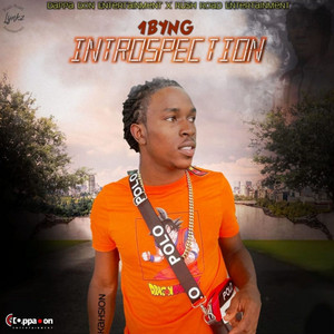 1BYNG - Introspection
