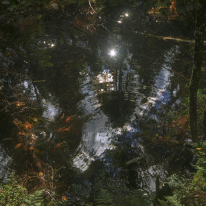 Elsewhere by Dark Frequency
