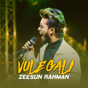 ZeeSun Rahman - Vule Gali