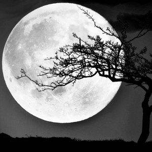 The Moon