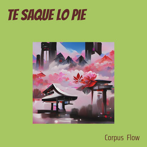 Te Saque Lo Pie by FlowstiloRD