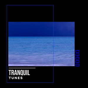 # 1 Album: Tranquil Tunes album