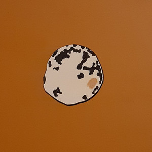 Portada de Abcent$