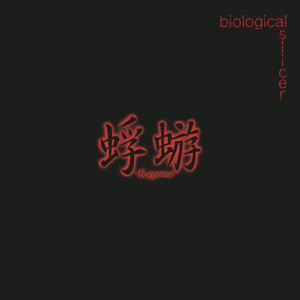 蜉蝣 - Album by 蜉蝣 | Spotify