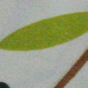 subsingledino - §NYAN CAT§