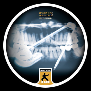 Ripcurl - Ahmet Sendil Mix cover art