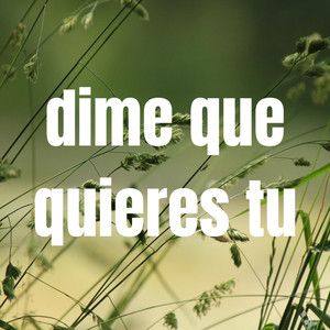 DIME QUE QUIERES TU by LOKASO